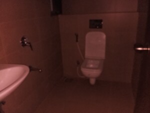 Attached Bathroom in 1 BHK Apartment at Runwal Eirene, Balkum Pada – for Sale