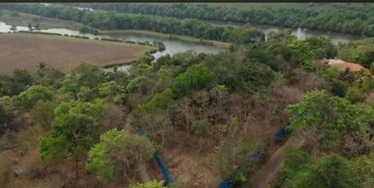 undefined, aldona 4 Bedroom 429 Sq.Mt. Villa In Aldona Goa 9230569