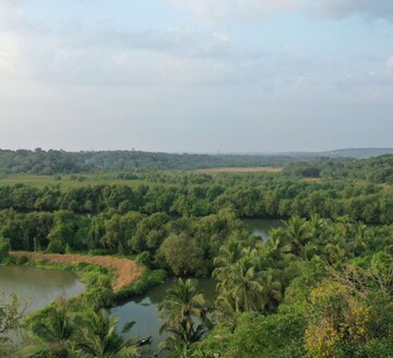 Plot Area in 4 BHK Villa at Aldona – for Sale