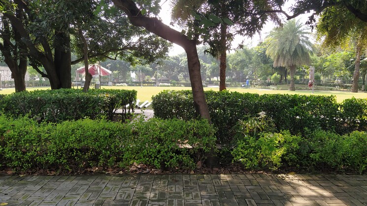 Garden, dlf-hyde-park 2.5 Bedroom 350 Sq.Yd. Independent House In South Mullanpur Chandigarh 9230713