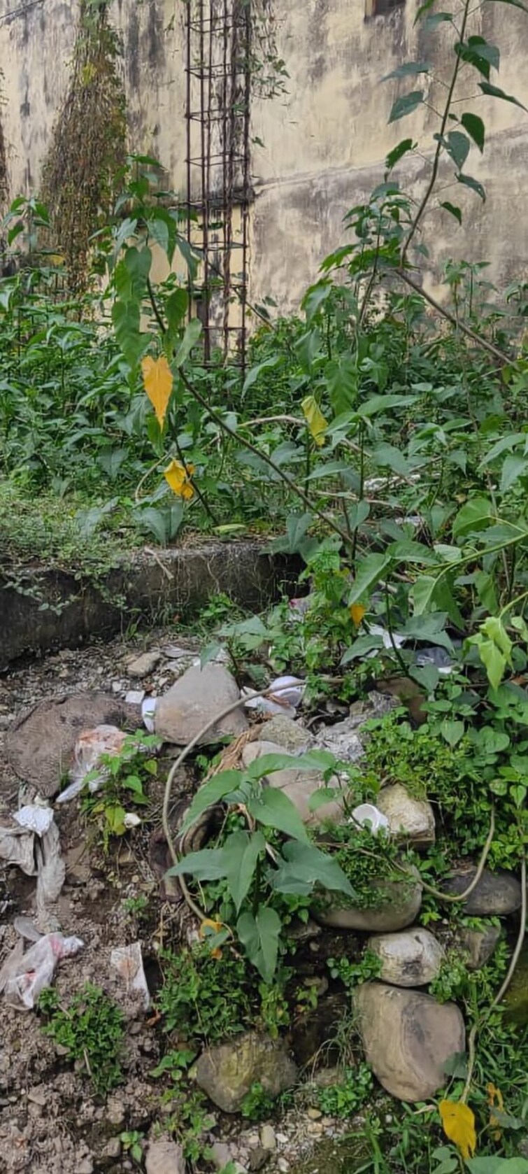 Cover Image, kaulagarh  153 Sq.Yd. Plot In Kaulagarh Dehradun 9230686