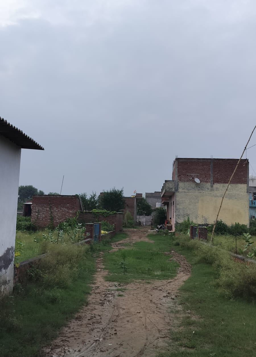 Plot For Sale in Sector 88