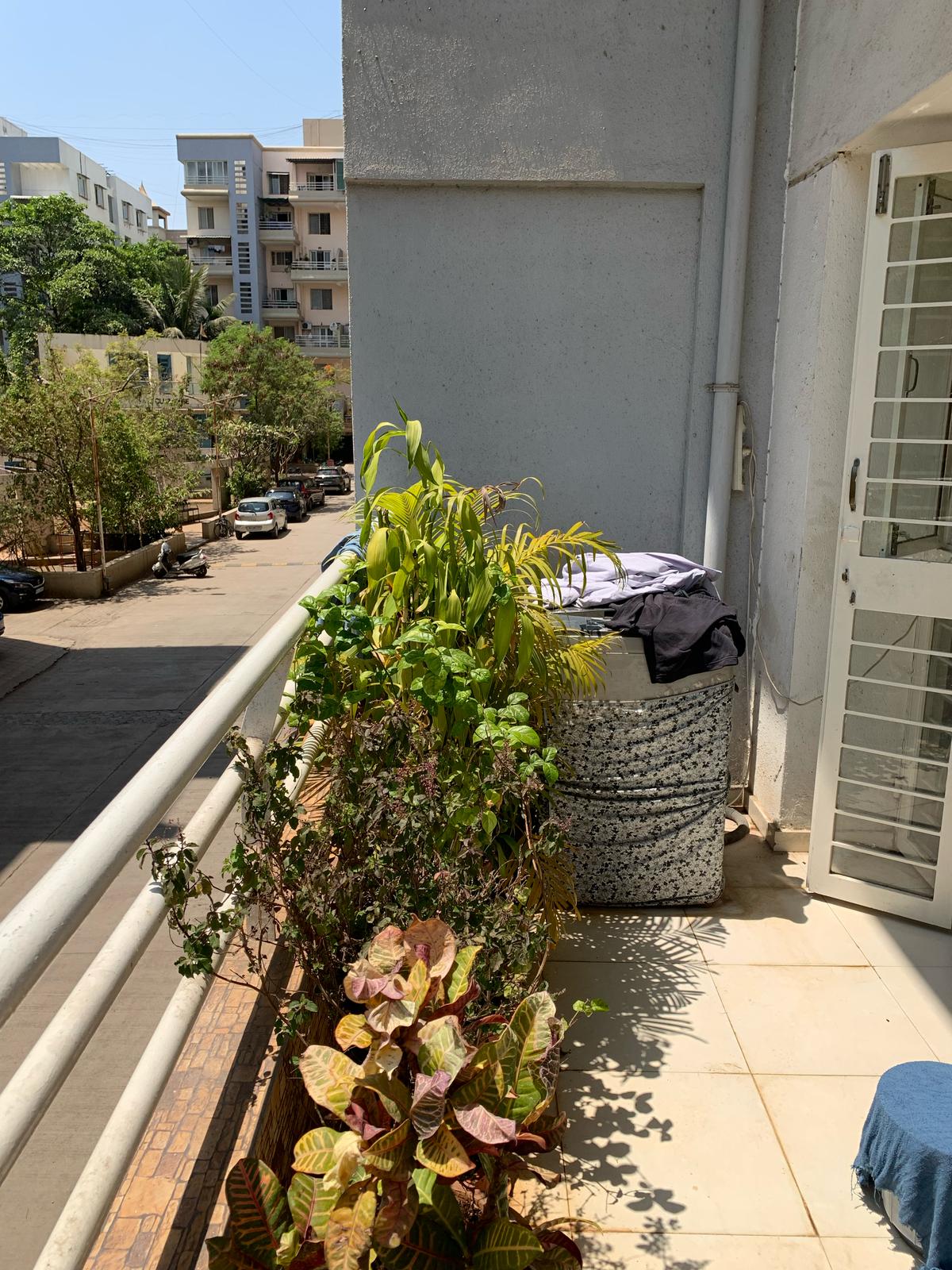 2 BHK Apartment For Rent in Sukhwani Elmwoods