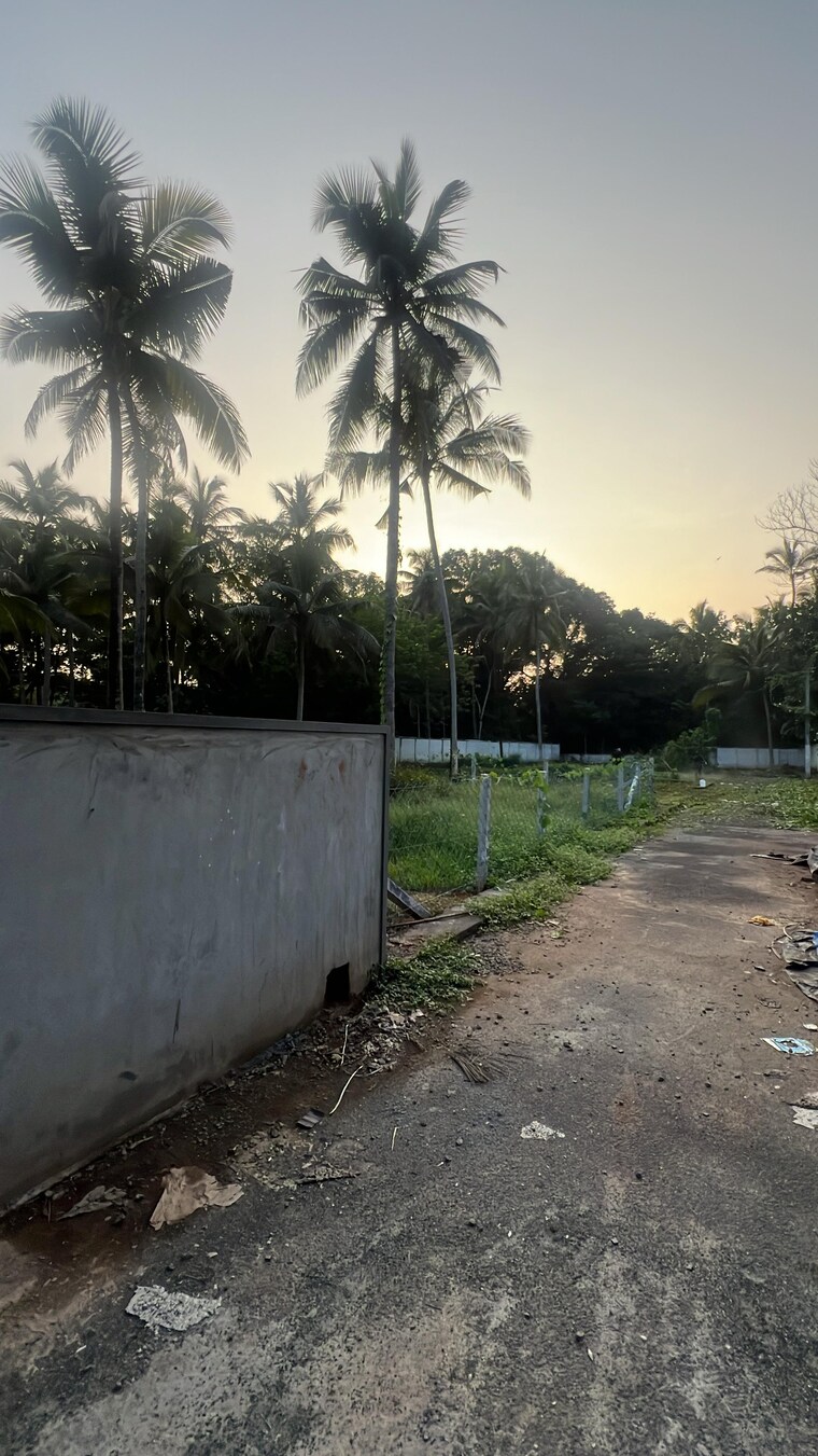 undefined, kuttoor  2616 Sq.Ft. Plot In Kuttoor Thrissur 9230981
