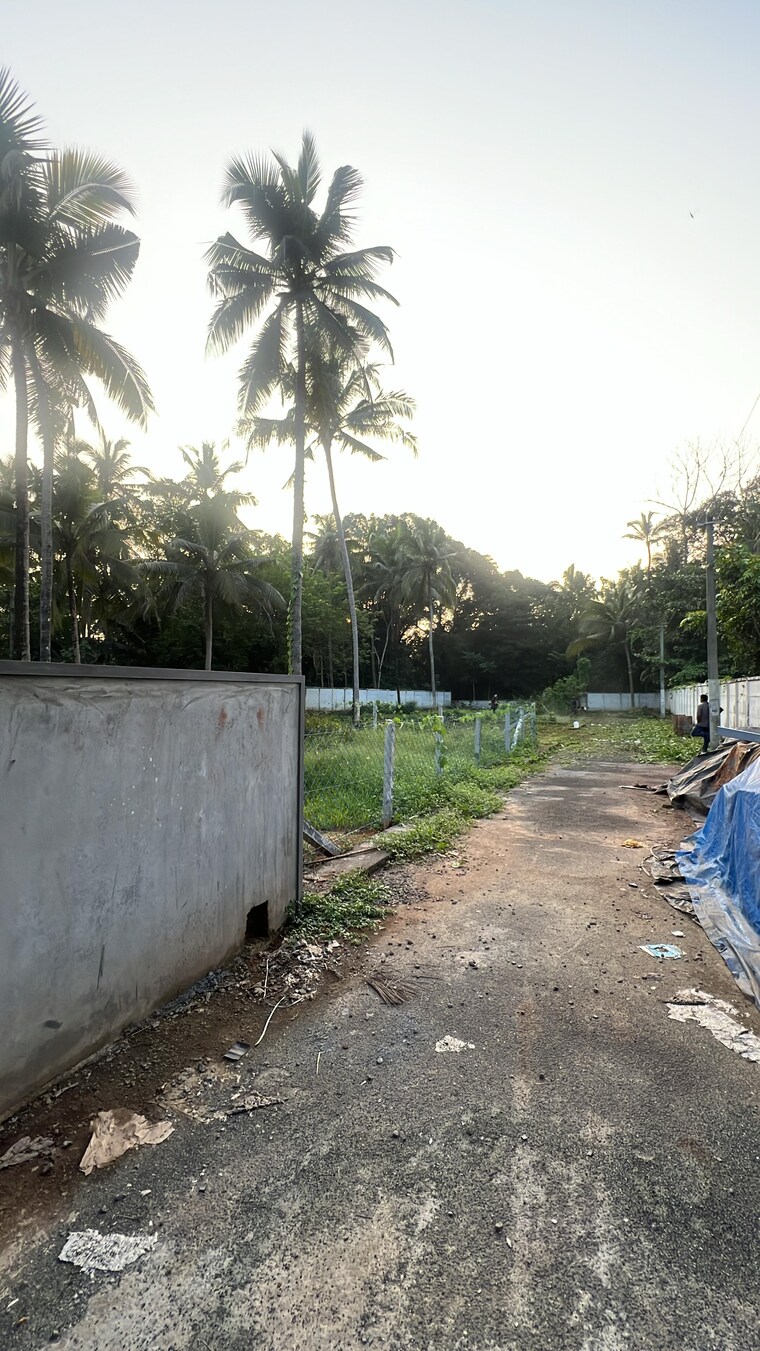 undefined, kuttoor  2616 Sq.Ft. Plot In Kuttoor Thrissur 9230981