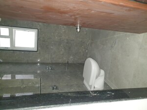 Bathroom in 2 BHK Apartment at VTP Leonara, Mahalunge – for Rent