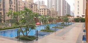 Balcony in 2 BHK Apartment at VTP Leonara, Mahalunge – for Rent