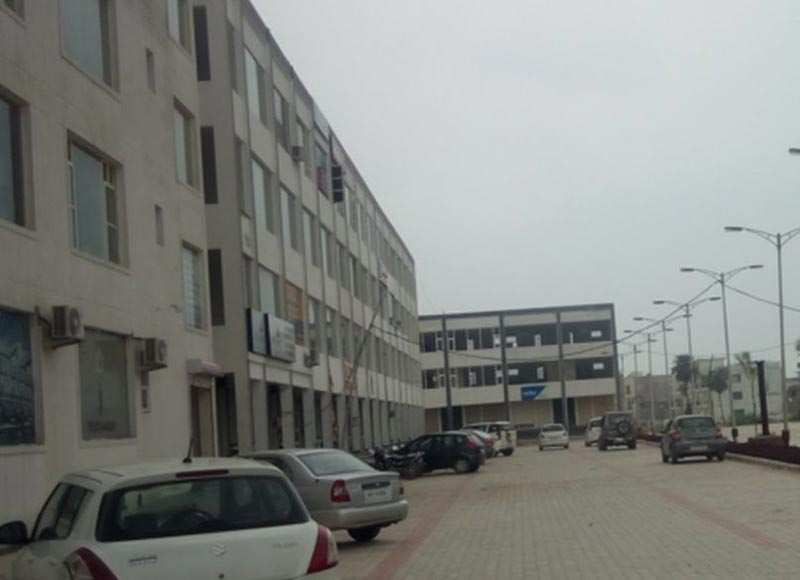 Showroom For Rent in Showroom Phase 7 Mohali F