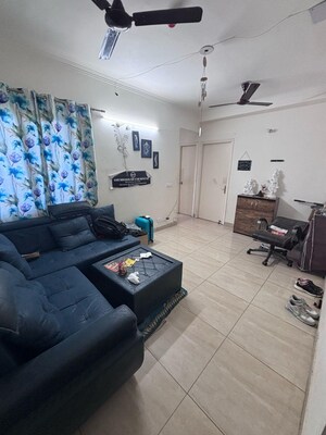 Living Room in 3 BHK Apartment at Amrapali Golf Homes, Sector 4 Greater Noida – for Rent