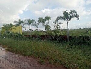 Plot Area in  Plot at Patrapada – for Sale