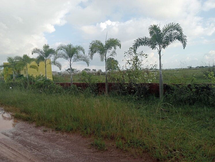 undefined, patrapada  1200 Sq.Ft. Plot In Patrapada Bhubaneswar 9231845