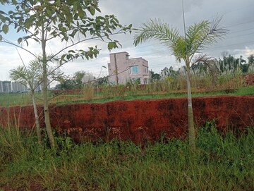 Plot Area in  Plot at Patrapada – for Sale