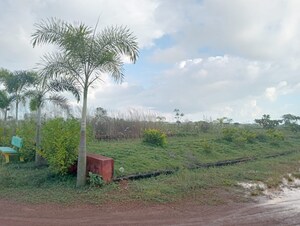 Plot Area in  Plot at Patrapada – for Sale