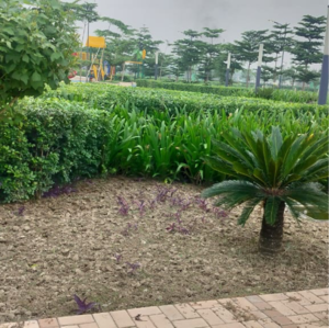 Plot Area in  Plot at Tdi City – for Sale