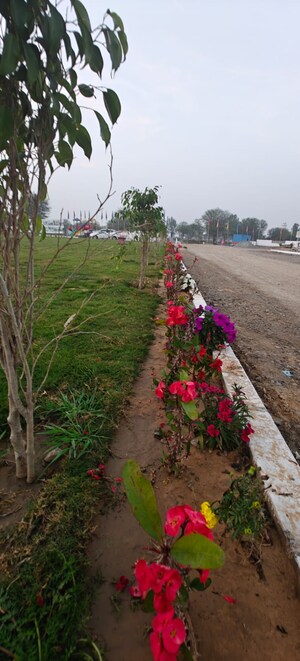  Land – Garden View at Shivdaspura - for Sale