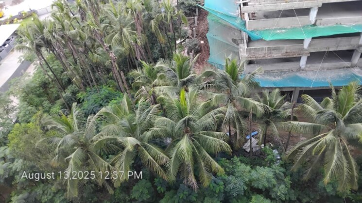 Exterior View, paranjape-blue-ridge 1 Bedroom 505 Sq.Ft. Apartment In Hinjewadi Pune 9232888