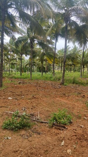  Land For Sale in Gandhi Nagar