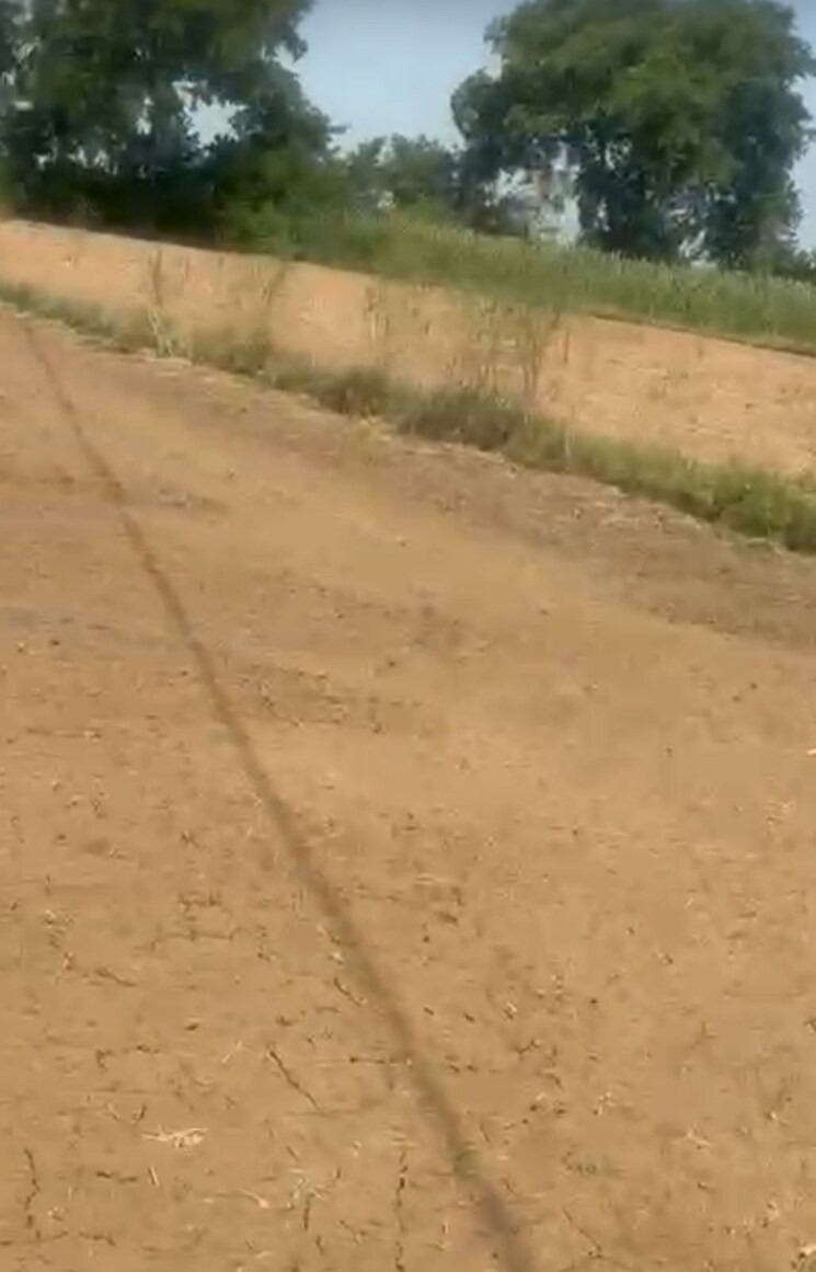 undefined, siyana road Commercial Land 3388 Sq.Ft. In Siyana Road Bulandshahr 9233314