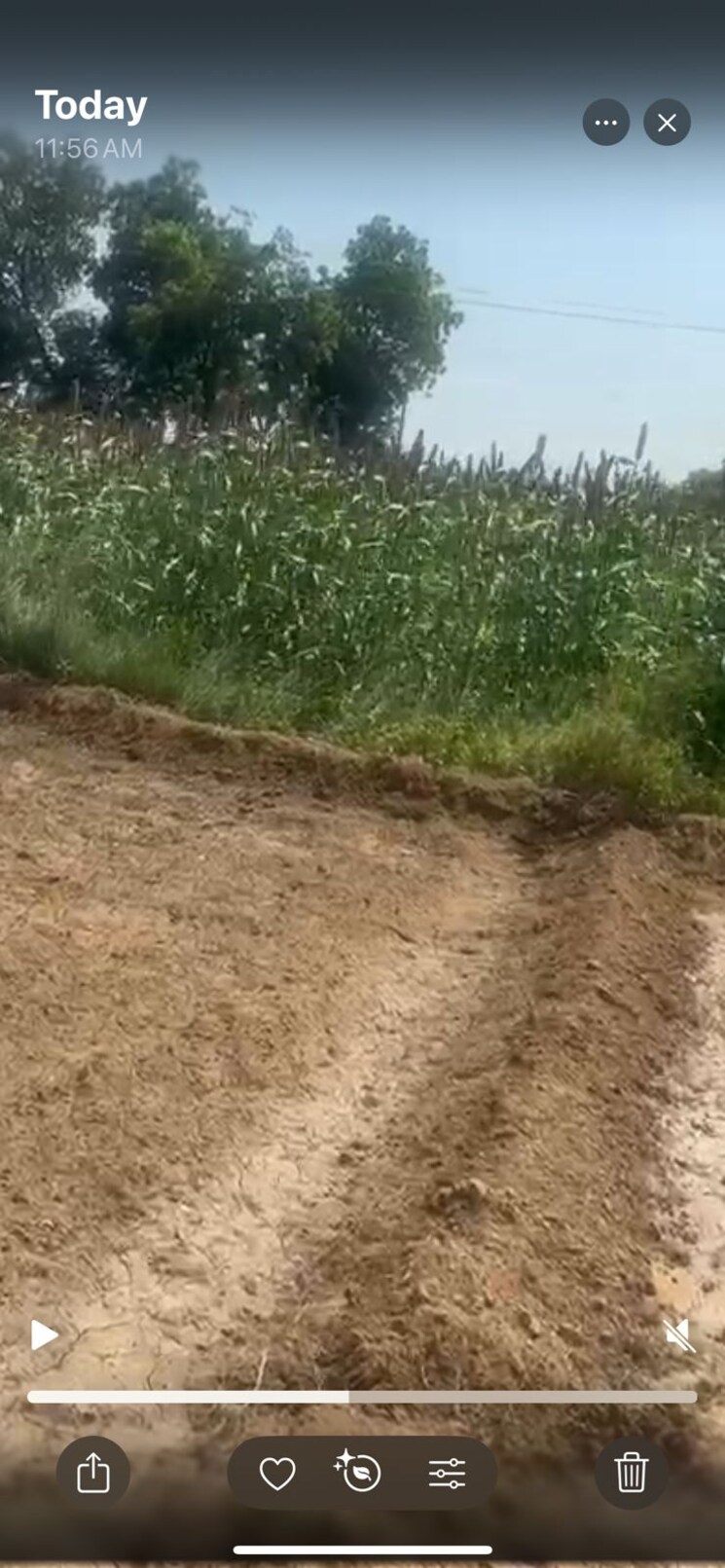 undefined, siyana road Commercial Land 3388 Sq.Ft. In Siyana Road Bulandshahr 9233314