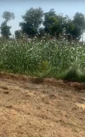 Plot Area in  Land at Siyana Road – for Sale