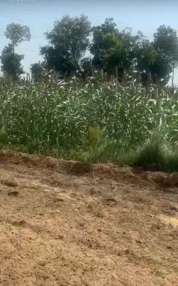 Plot Area in  Land at Siyana Road – for Sale