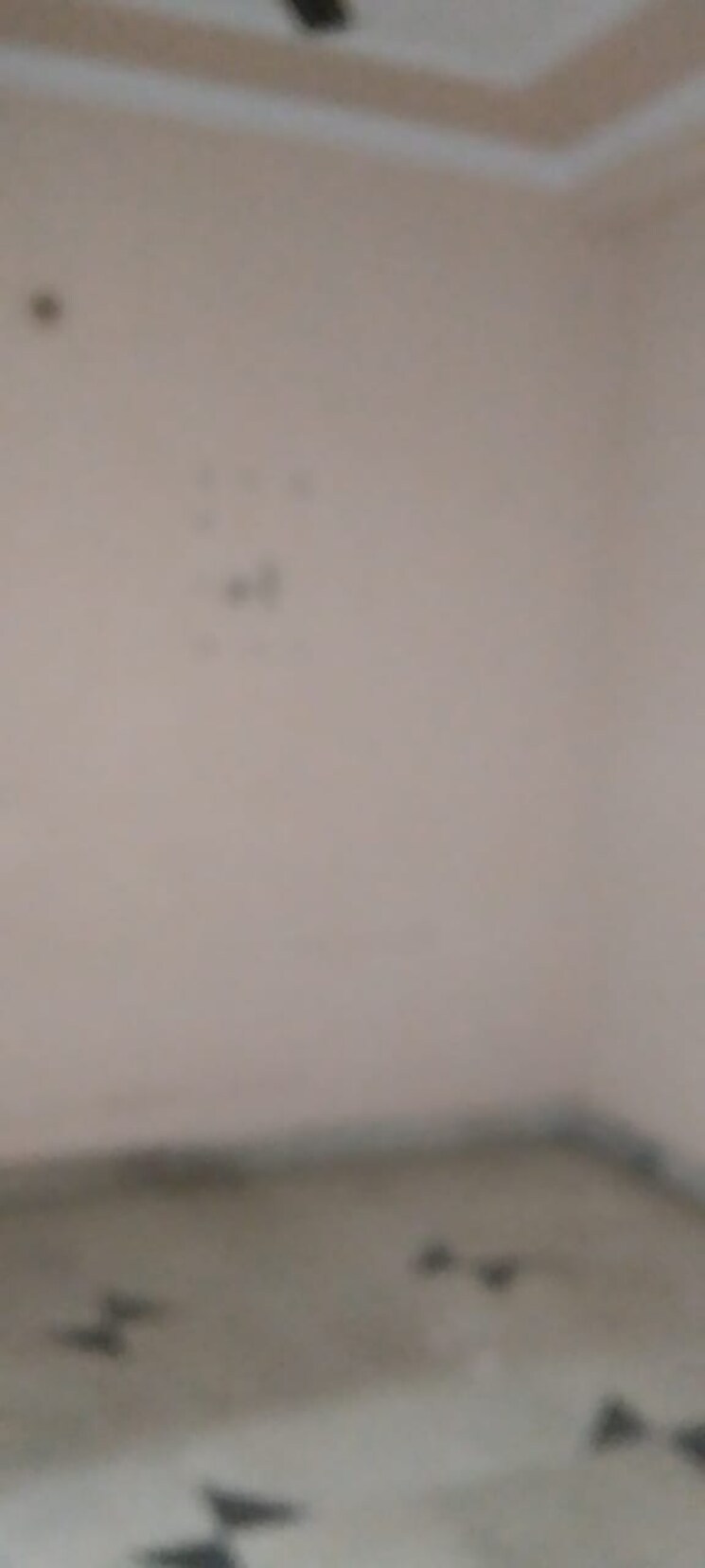 undefined, mehrauli 1 Bedroom 550 Sq.Ft. Builder Floor In Mehrauli Delhi 9233353