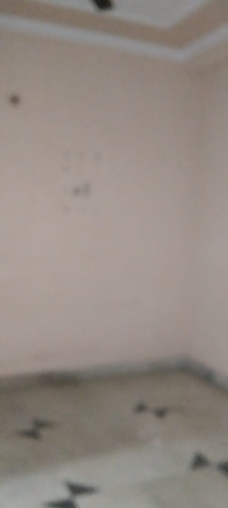 undefined, mehrauli 1 Bedroom 550 Sq.Ft. Builder Floor In Mehrauli Delhi 9233353