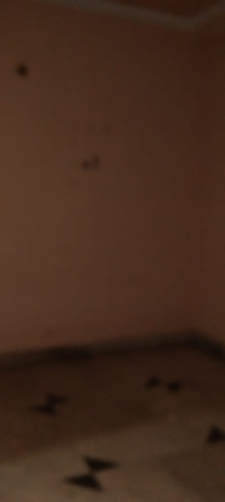 undefined, mehrauli 1 Bedroom 550 Sq.Ft. Builder Floor In Mehrauli Delhi 9233353