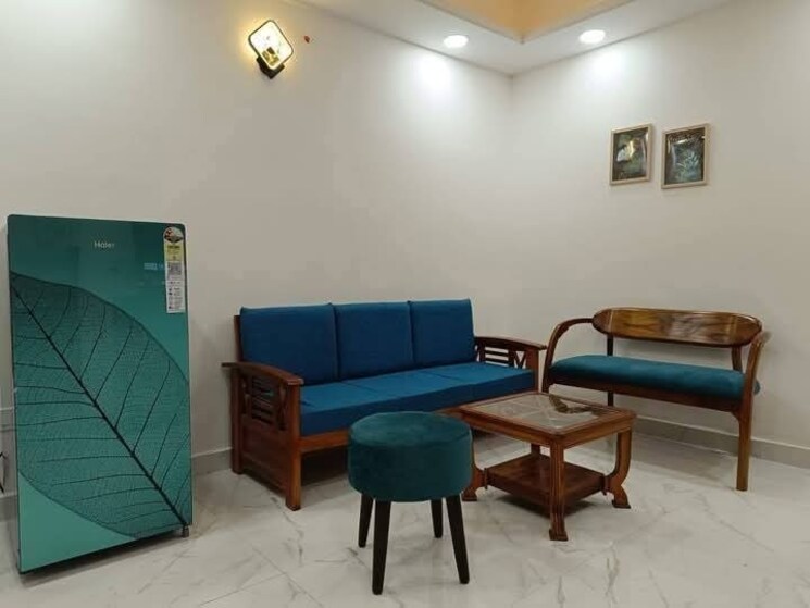 Living Room, freedom fighters enclave 1 Bedroom 550 Sq.Ft. Apartment In Freedom Fighters Enclave Delhi 9233378