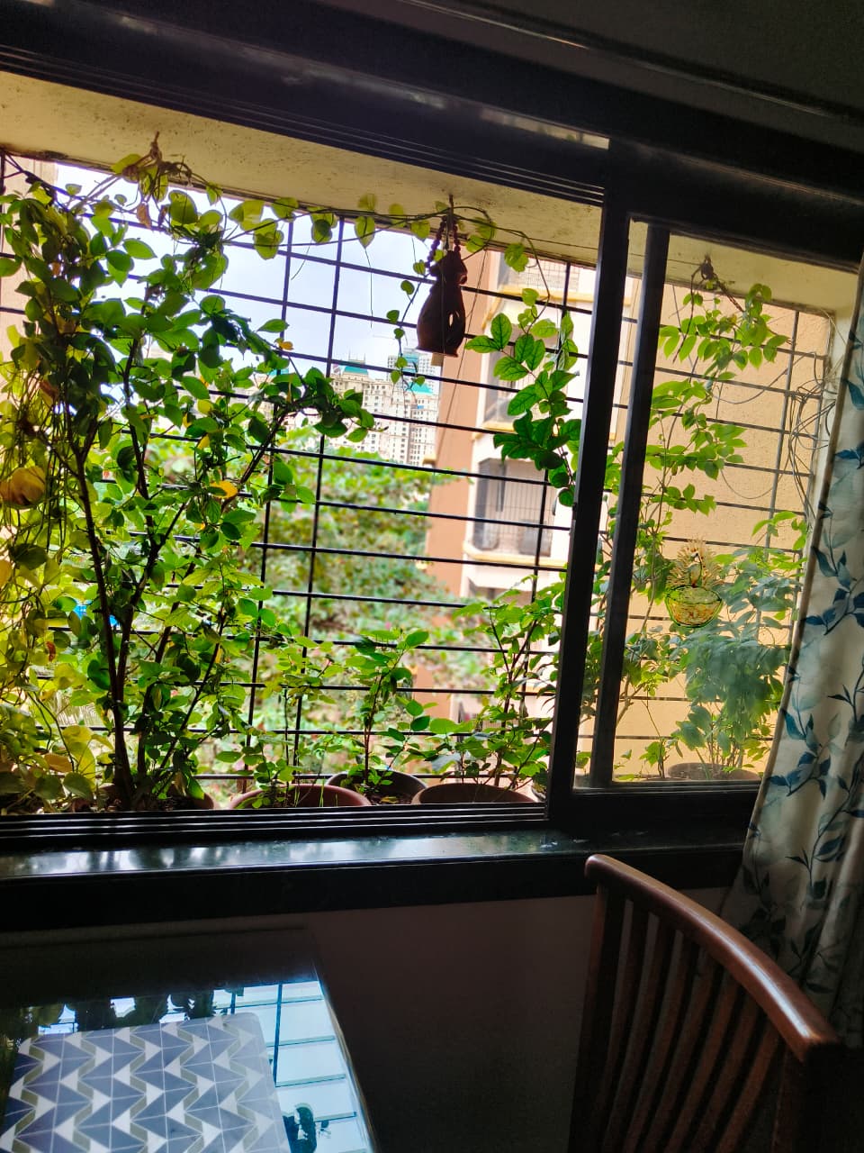 1 BHK 580 Sq.Ft. Apartment in Sadguru Garden CHS