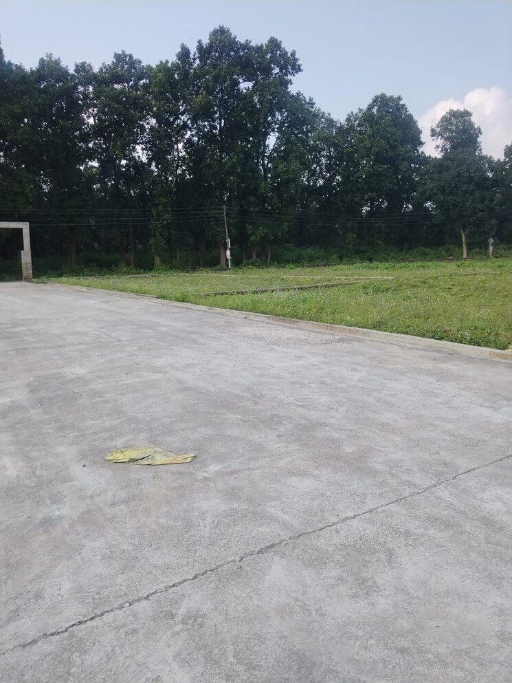 Garden, bidholi  1800 Sq.Ft. Plot In Bidholi Dehradun 9233441