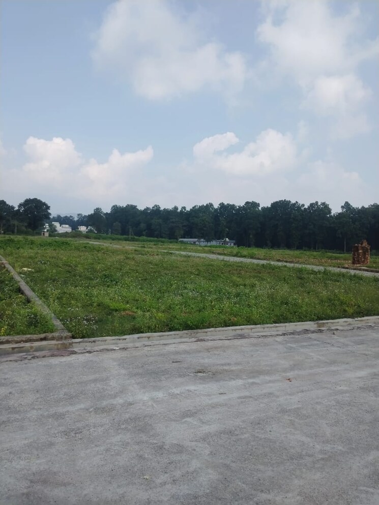 undefined, kandoli  125 Sq.Yd. Plot In Kandoli Dehradun 9233445