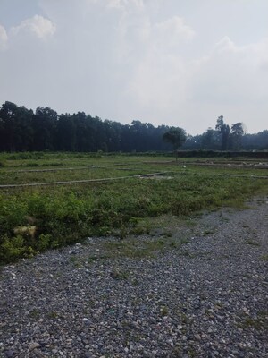 Plot Area in  Plot at Kandoli – for Sale