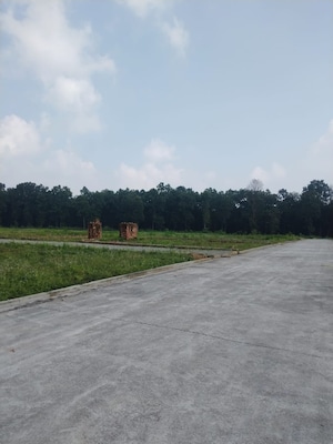 Plot Area in  Plot at Kandoli – for Sale