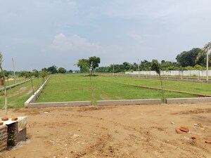  Plot For Sale in Bihta