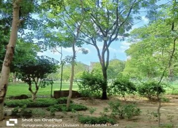 Plot Area in  Plot at Emaar MGF Emerald Hills, Sector 65 – for Sale