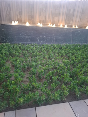 3.5 BHK Apartment – Garden View at The Center Court, Sector 88a - for Sale