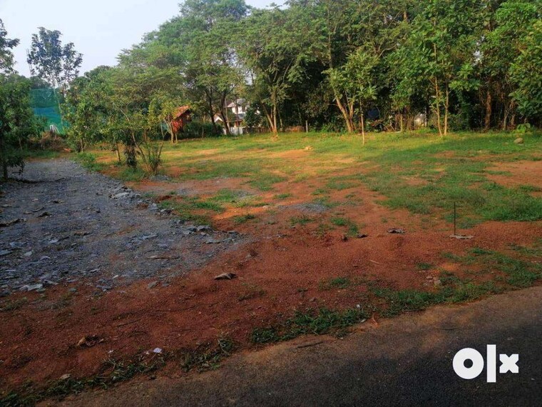 undefined, muthuvara  2617 Sq.Ft. Plot In Muthuvara Thrissur 9234515