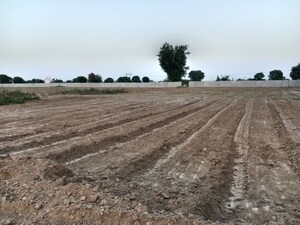 Plot Area in  Land at Gwalior Road – for Sale