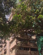 1 BHK 440 Sq.Ft. Apartment in Veena Happy Home CHS