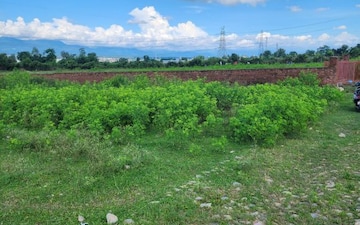 Plot For Sale in Kalyanpur