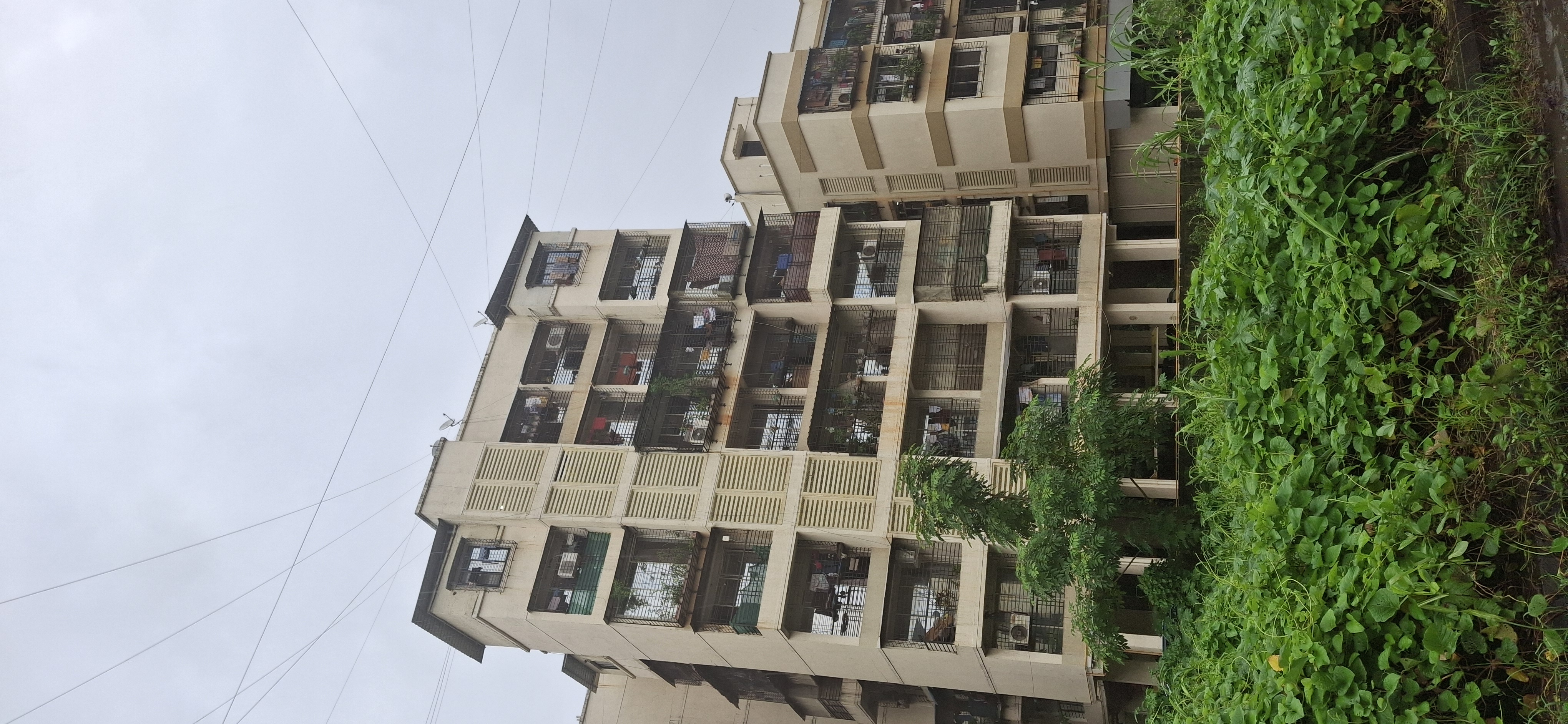 1 BHK Apartment For Rent in Amresh Property Ghansoli 