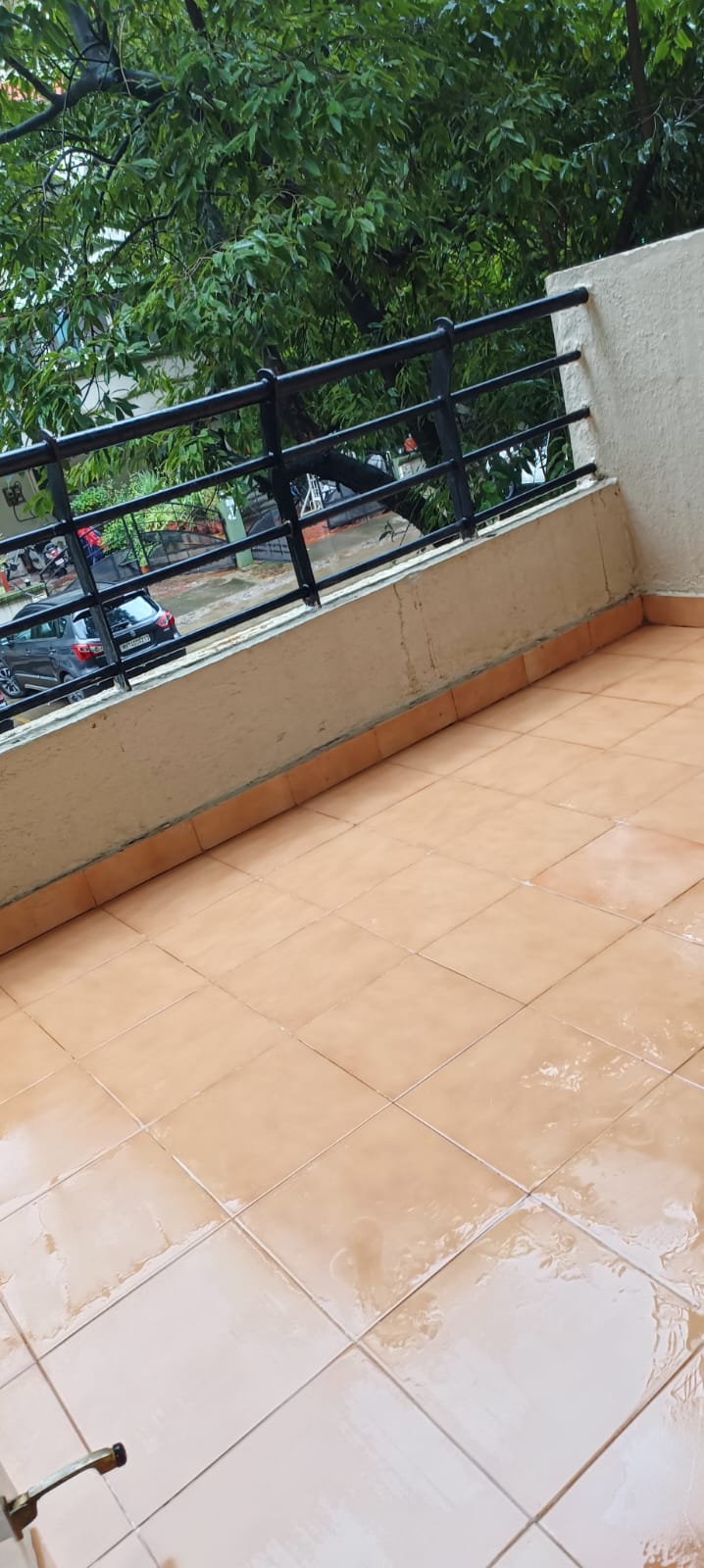 1 BHK Apartment For Rent in B. U. Bhandari  Planet Millenium