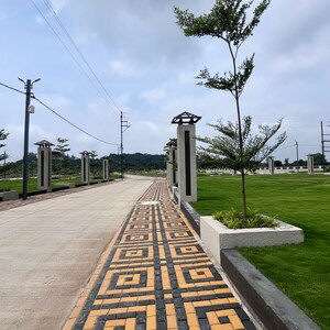  Plot For Sale in Budhaniya