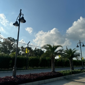 Plot Area in  Plot at Tdi City – for Sale