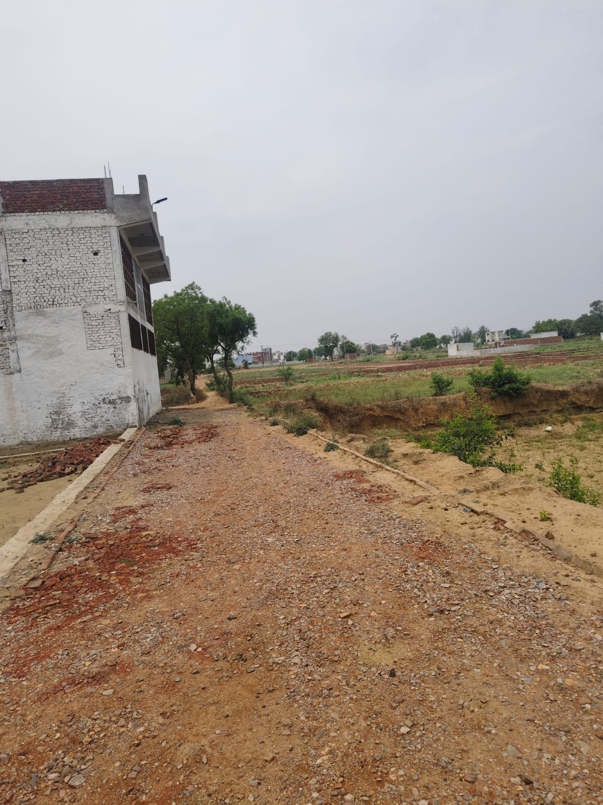 Plot For Sale in Buddha Marg