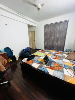 3.5 BHK Apartment For Rent in Mapsko Casa Bella-Apartments, Sector 82