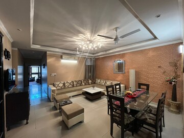 Living Room in 3 BHK Builder Floor at Saket – for Rent
