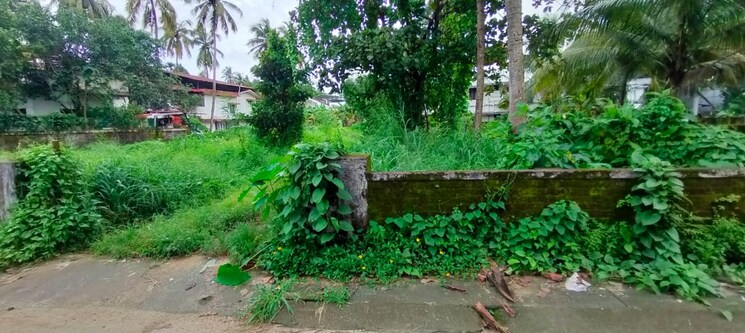 Garden, east fort  4358 Sq.Ft. Plot In East Fort Thrissur 9236709