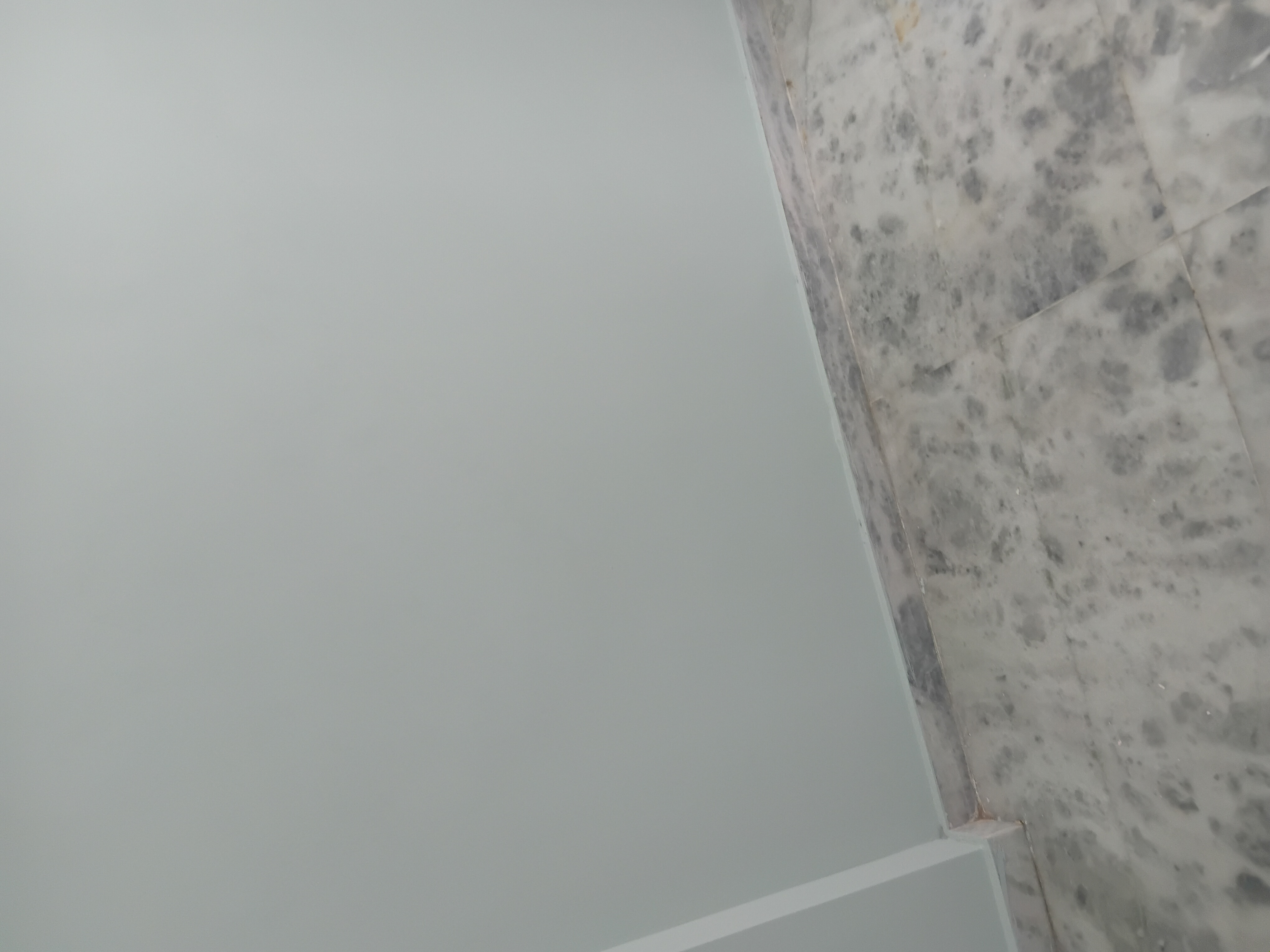 2.5 BHK + Servant Room Apartment For Rent in Peral Residency 